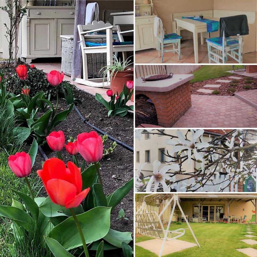 Kis Szarcsa Vendeghaz Hotel การ์ดอนนี ภายนอก รูปภาพ