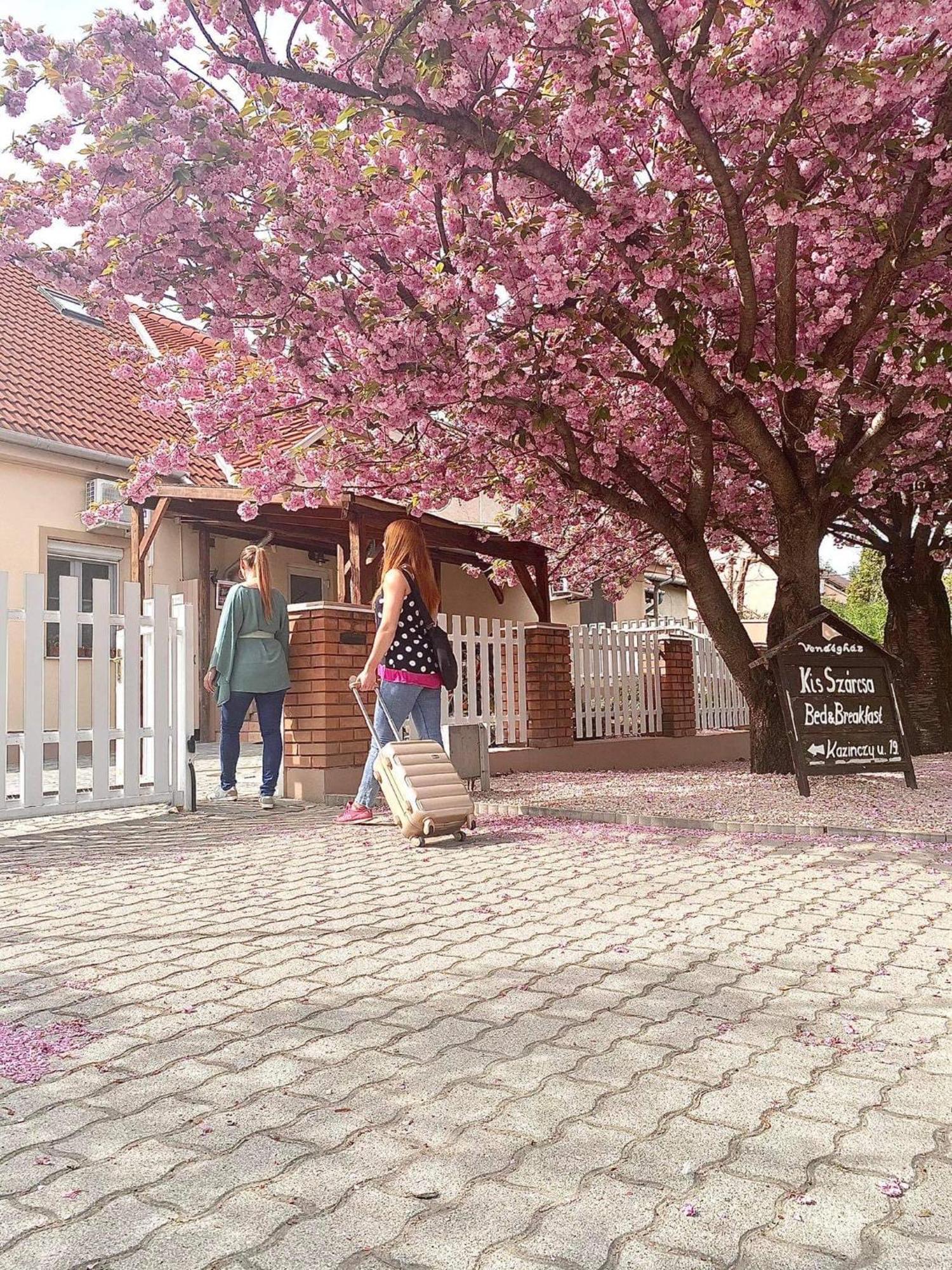 Kis Szarcsa Vendeghaz Hotel การ์ดอนนี ภายนอก รูปภาพ